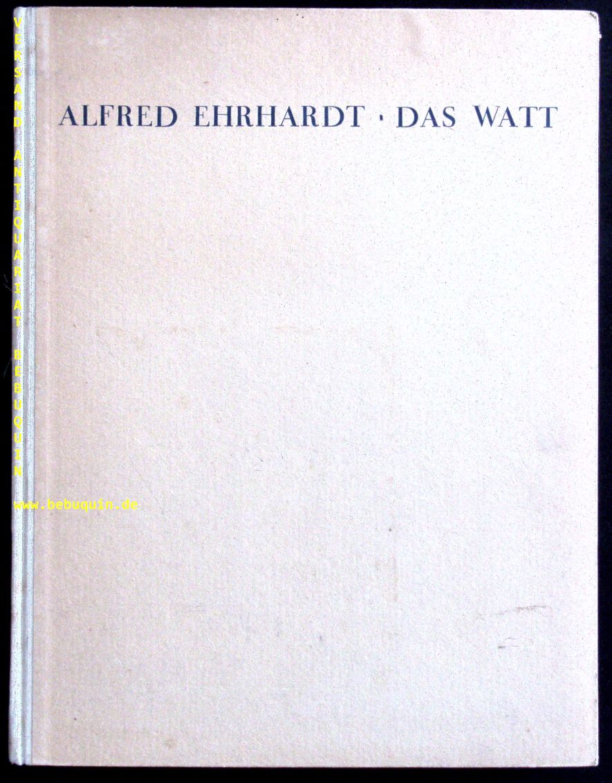 58502AB.jpg