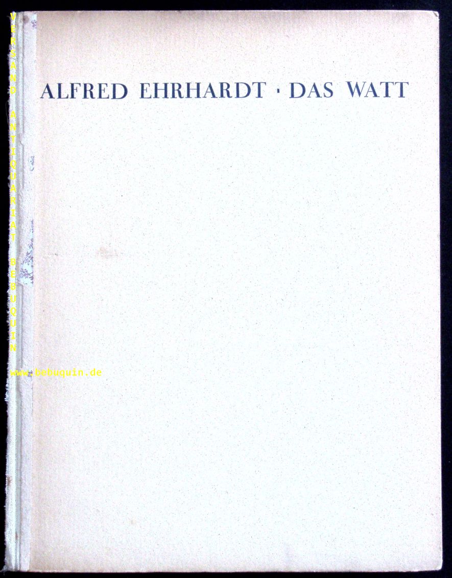 58503AB.jpg