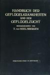 66175AB.jpg