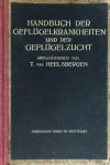 66178AB.jpg